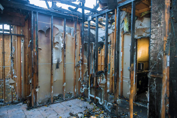Professional Smoke Odor Removal technician working in Clinton, WA